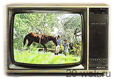 Селена 51ТЦ-431Д