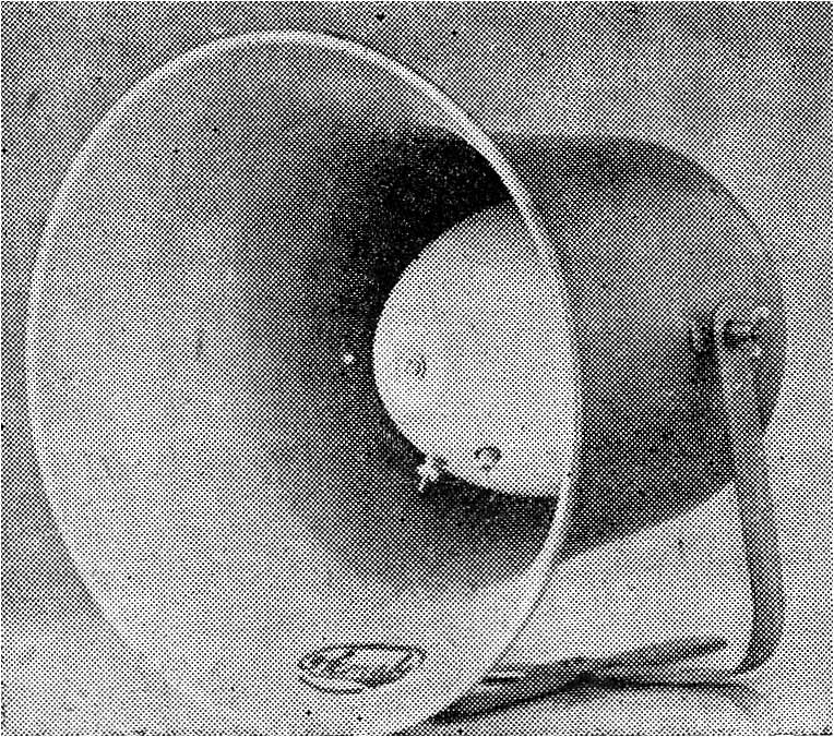Р-10 (Рупорный громкоговоритель)
