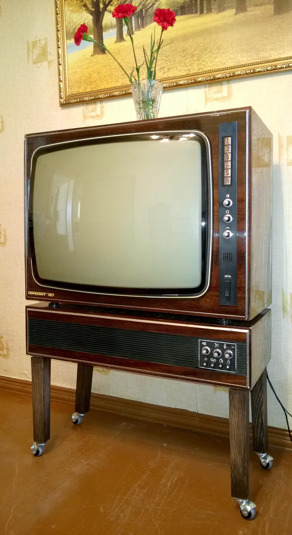 Горизонт-106Д