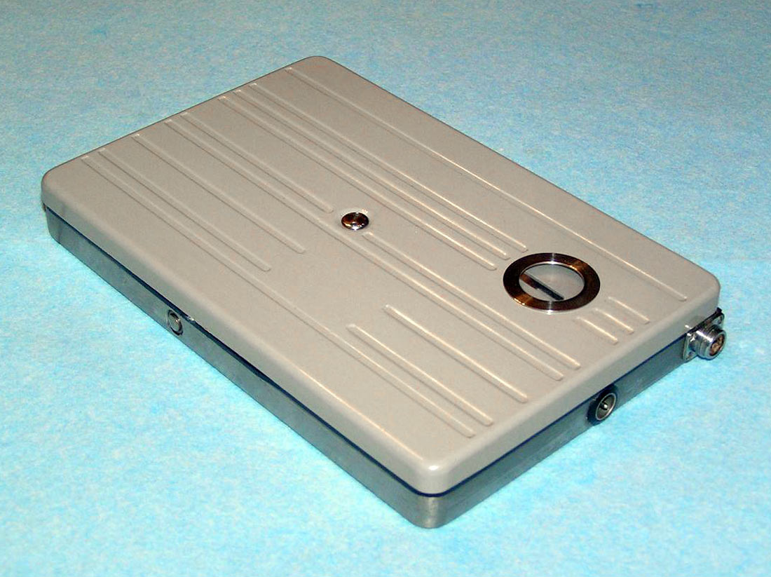 Летучая мышь